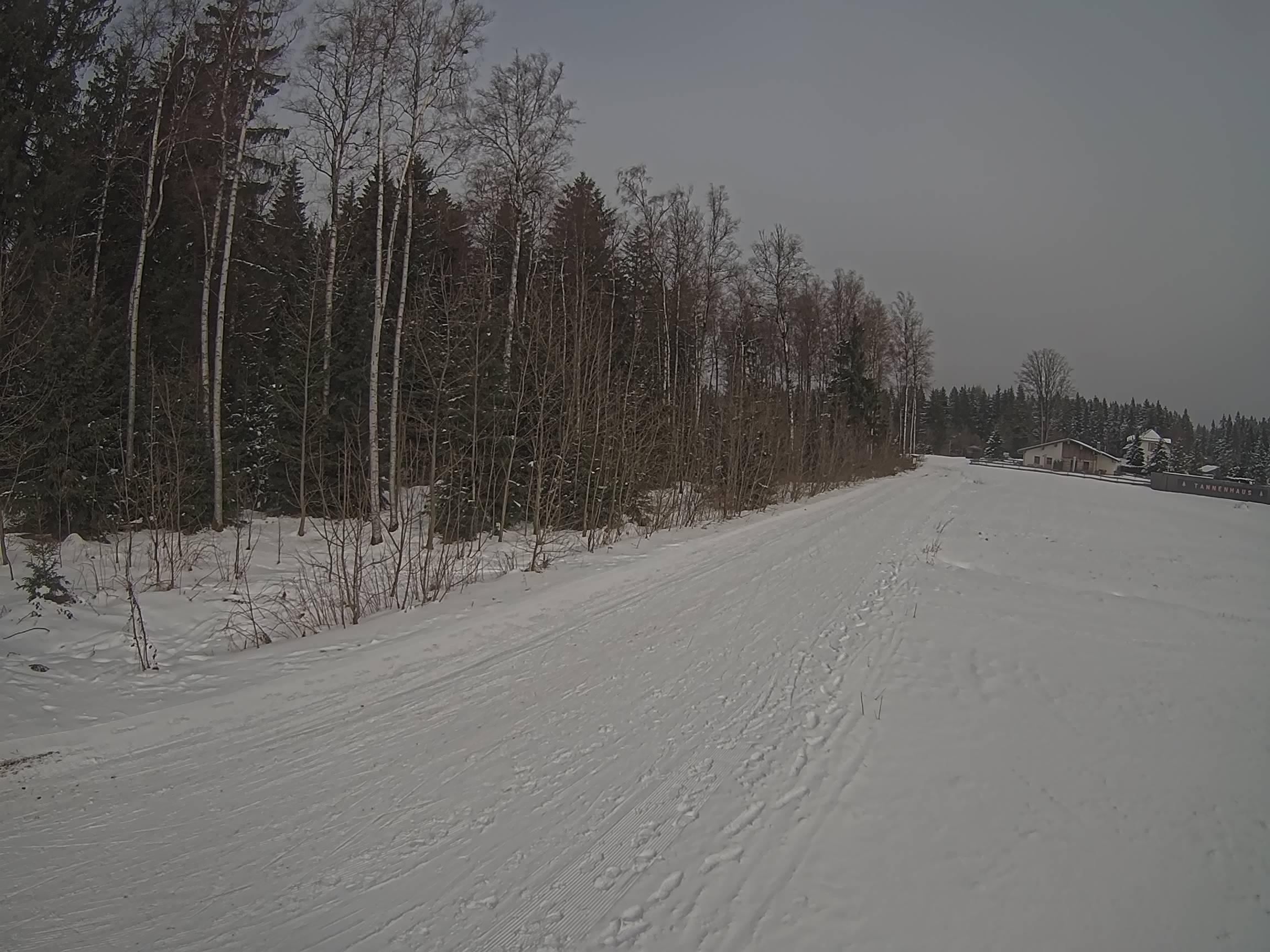 Webcam Schöneck Bogen