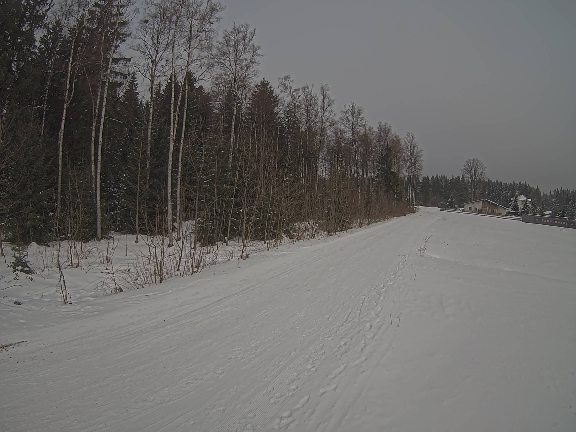 Webcam Schöneck Bogen