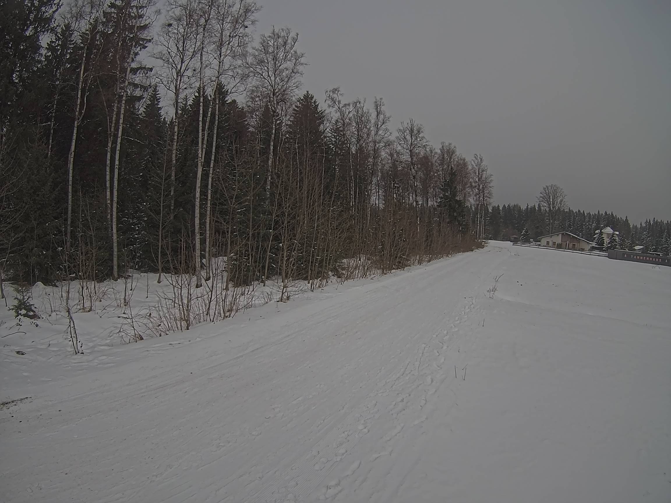 Webcam Schöneck Bogen