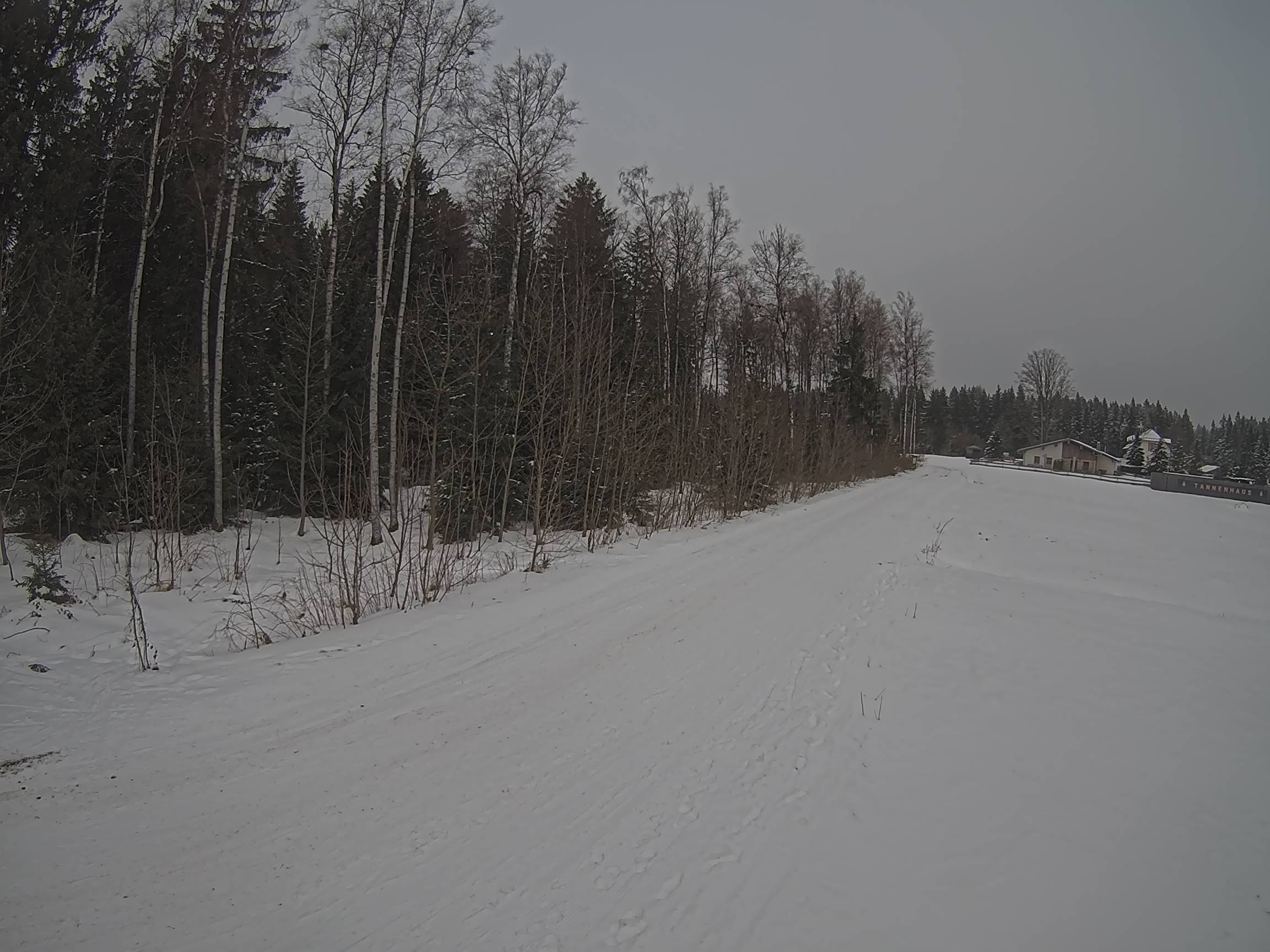 Webcam Schöneck Bogen