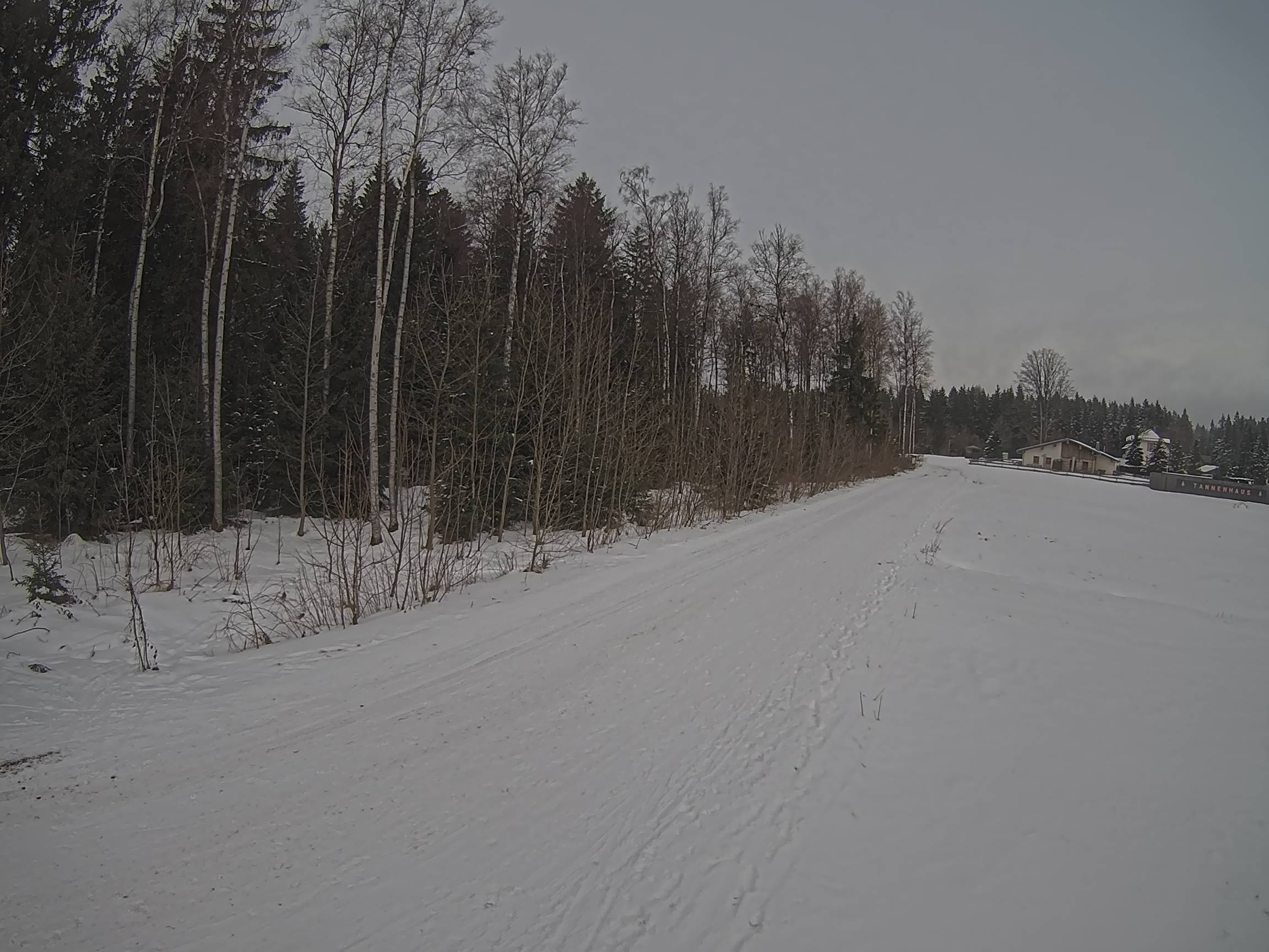 Webcam Schöneck Bogen
