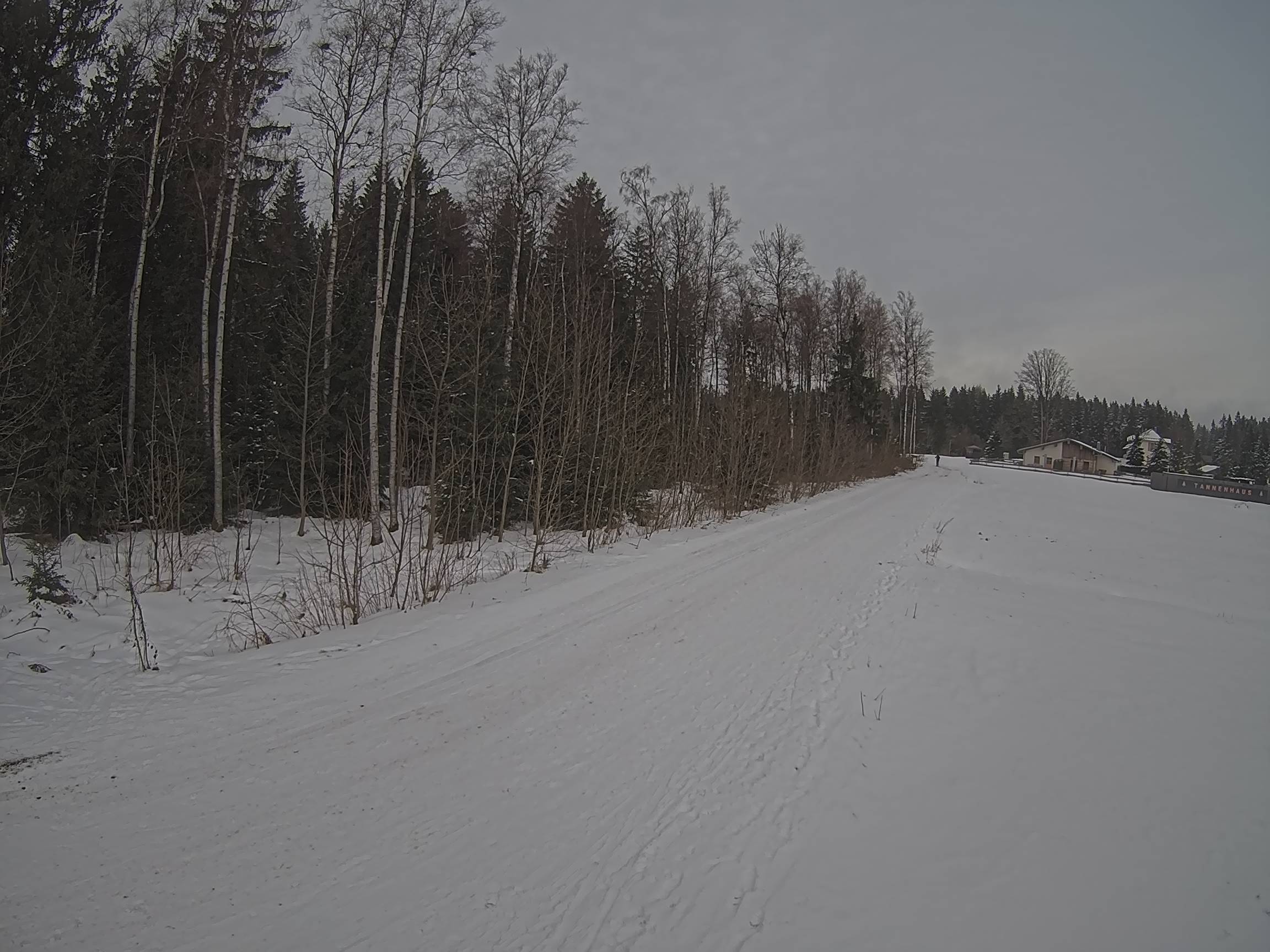 Webcam Schöneck Bogen