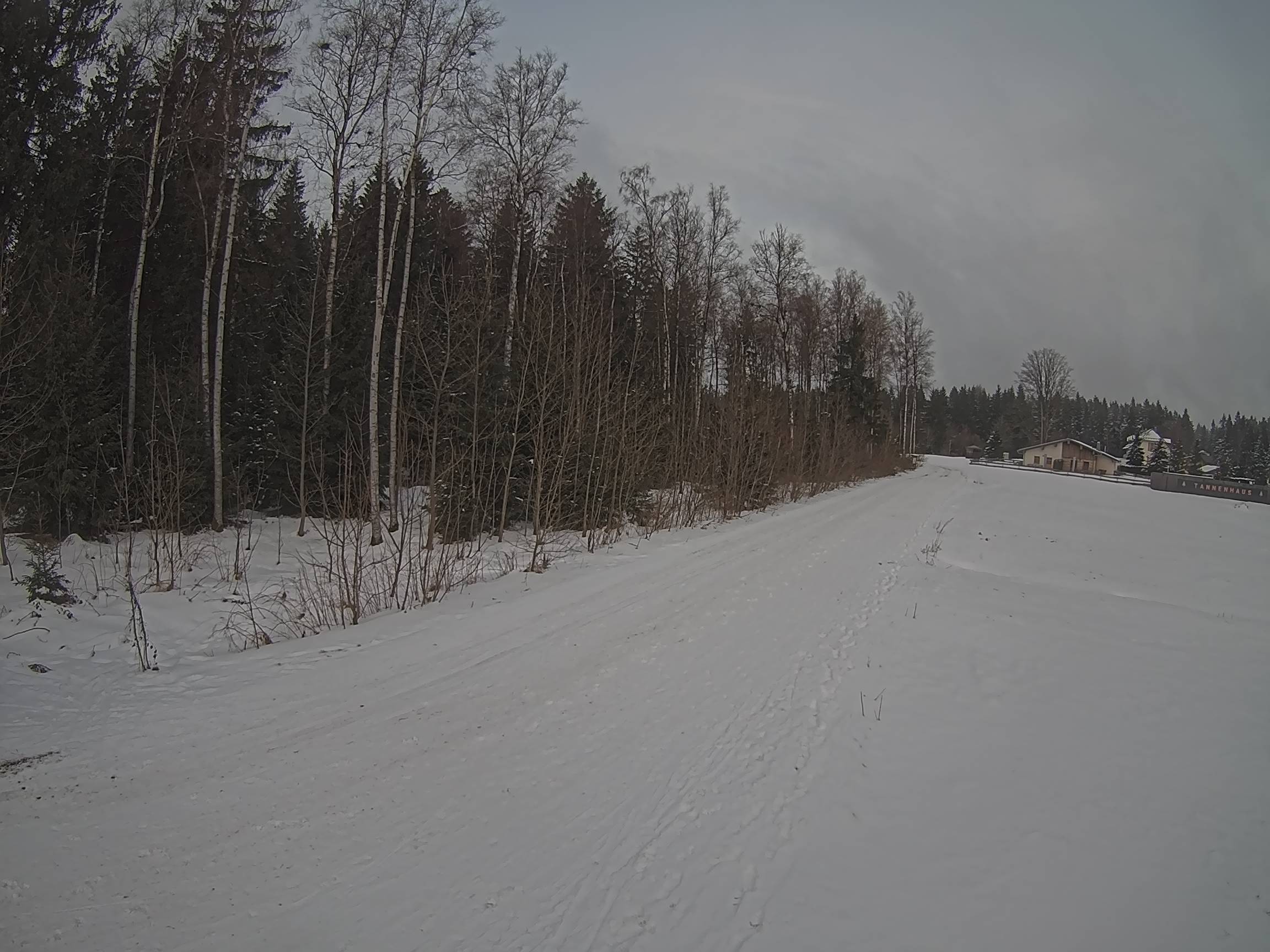 Webcam Schöneck Bogen