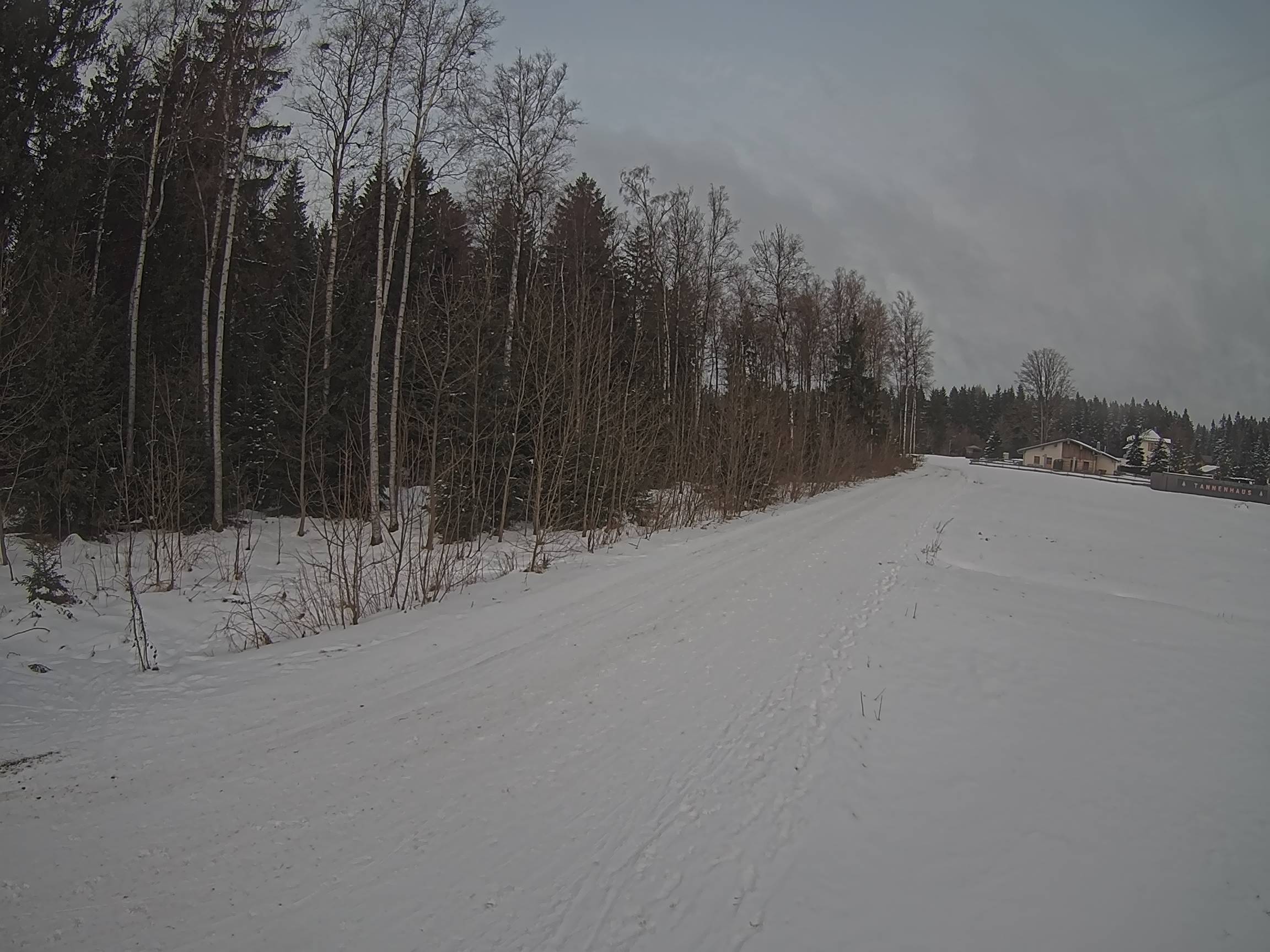 Webcam Schöneck Bogen