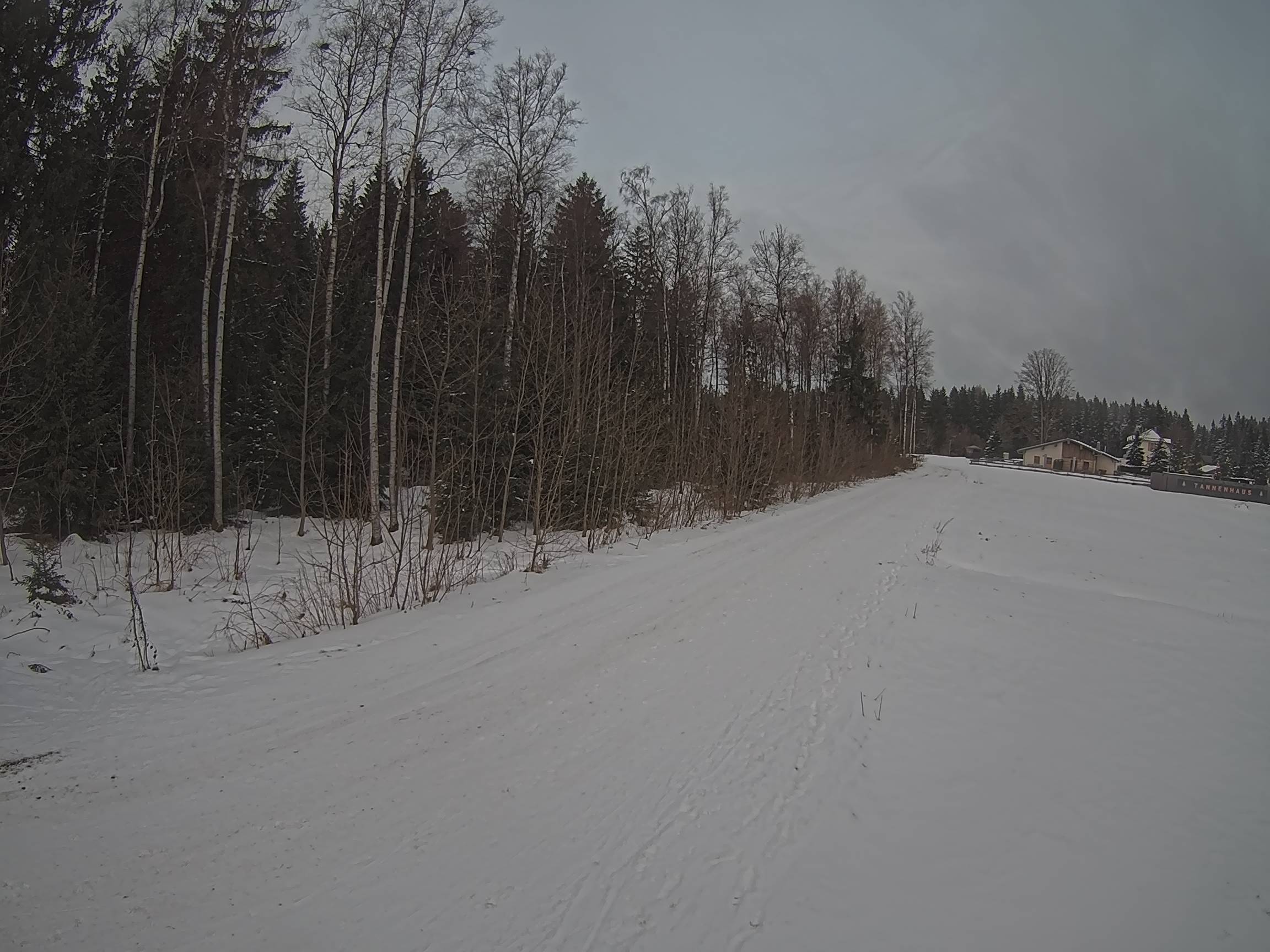 Webcam Schöneck Bogen