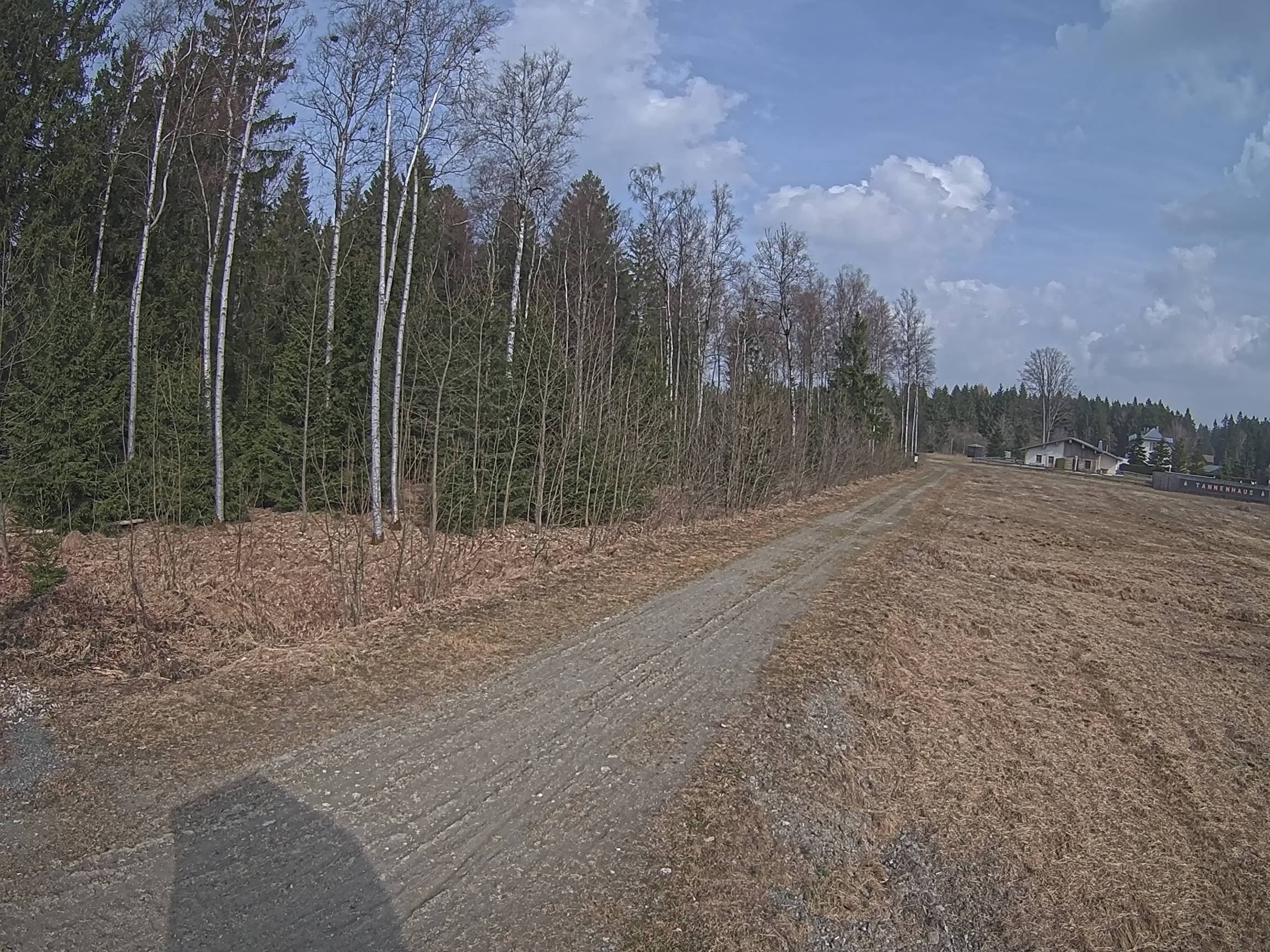 Webcam Schöneck Bogen