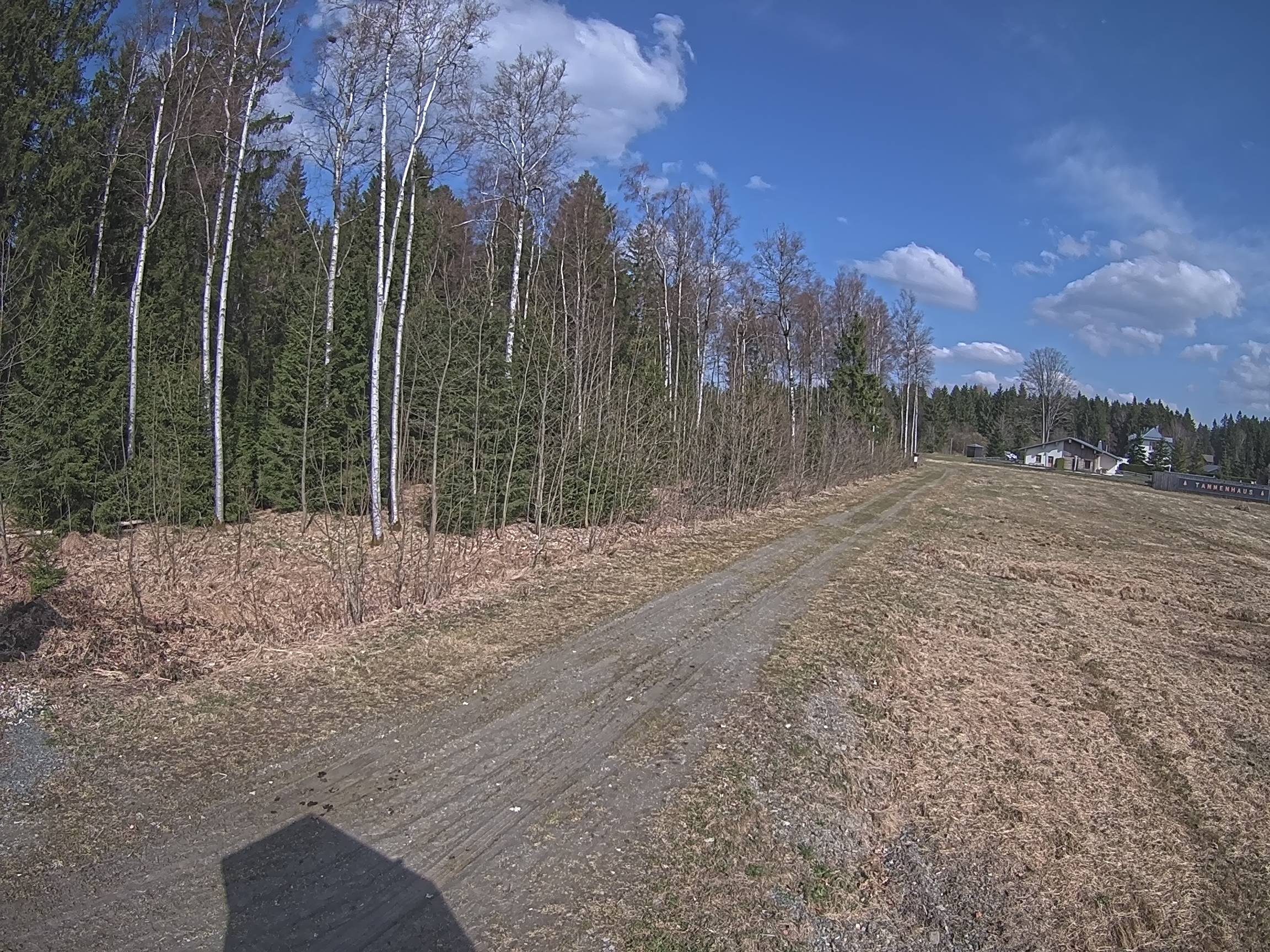 Webcam Schöneck Bogen