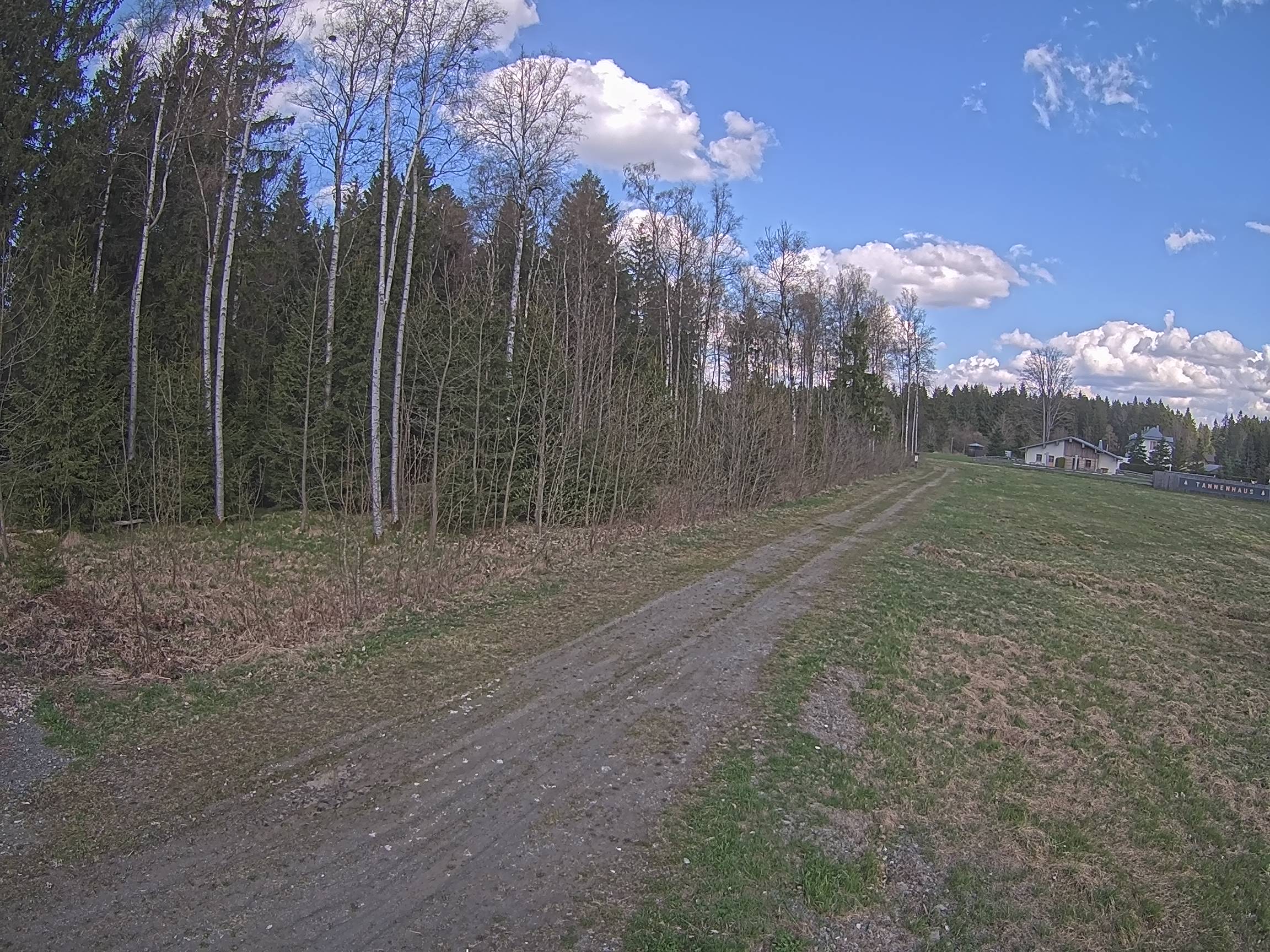 Webcam Schöneck Bogen