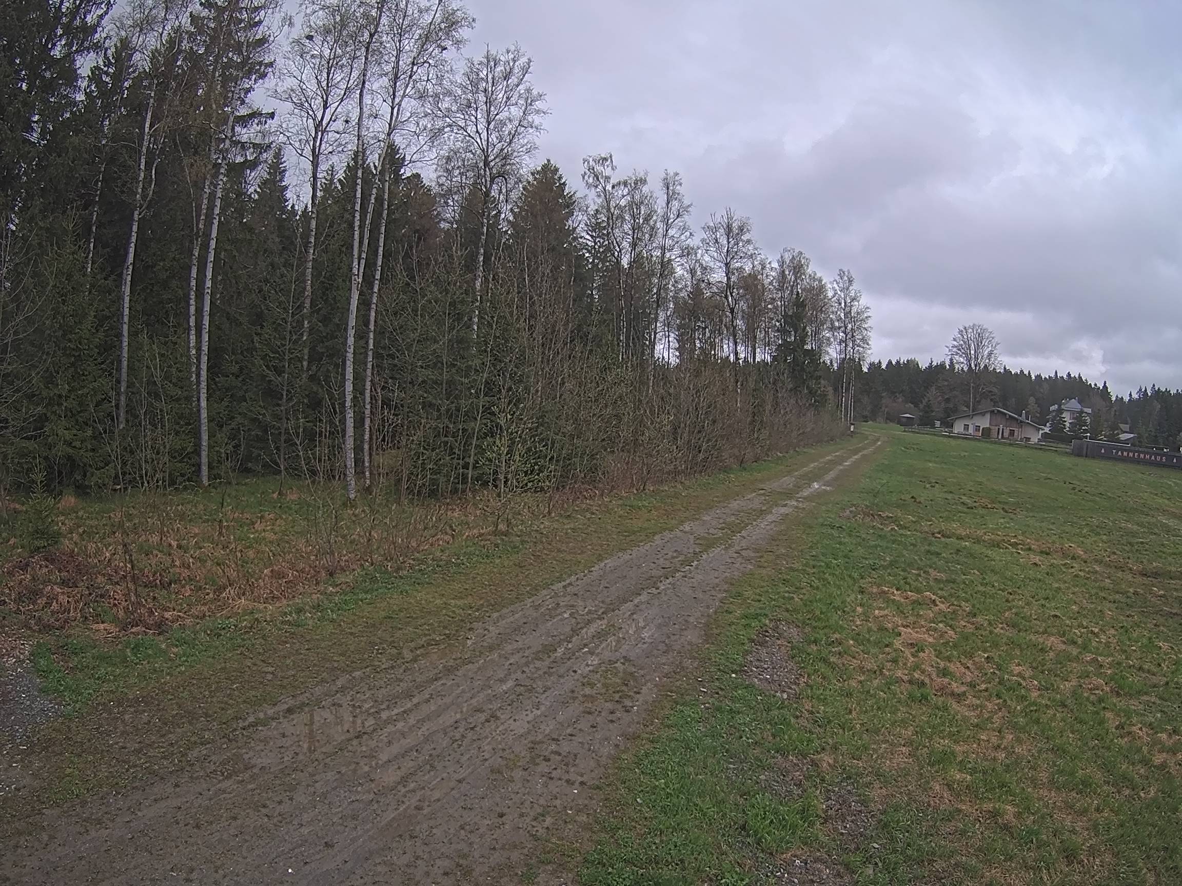 Webcam Schöneck Bogen