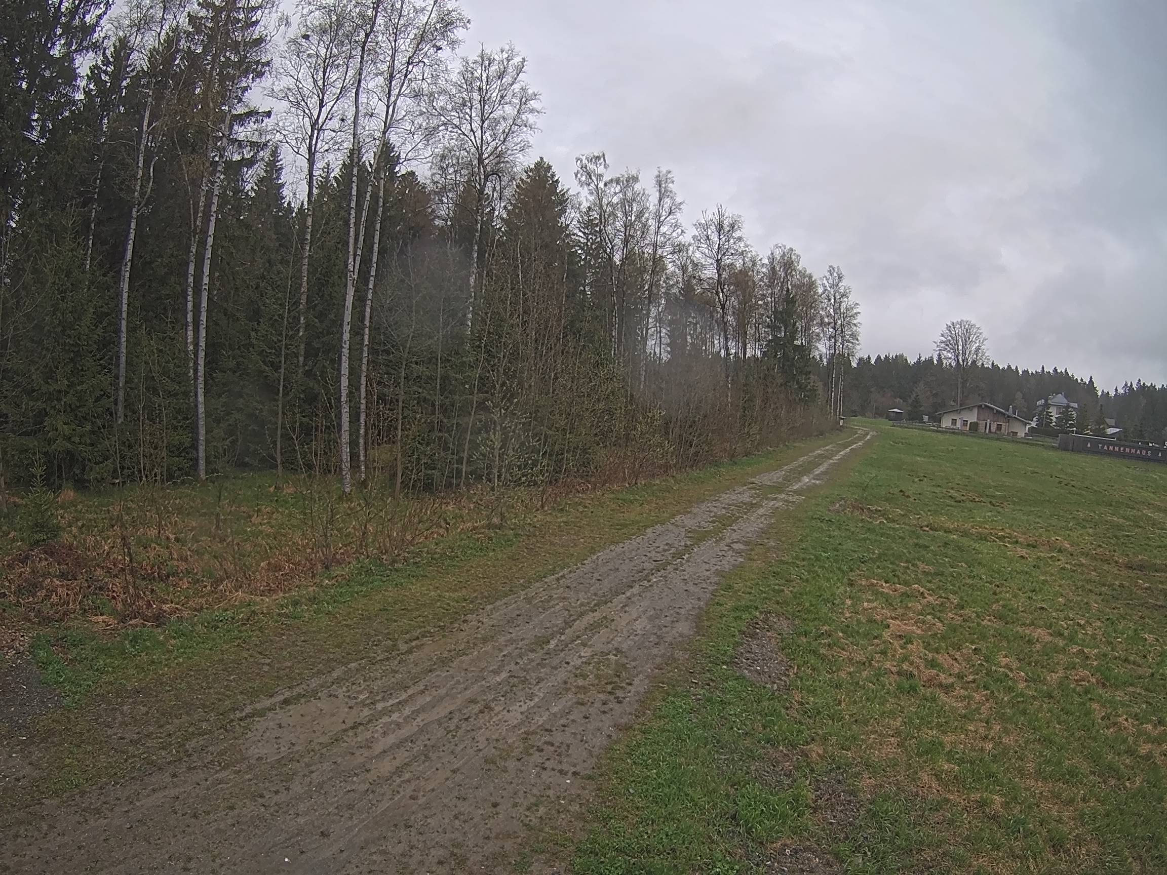 Webcam Schöneck Bogen