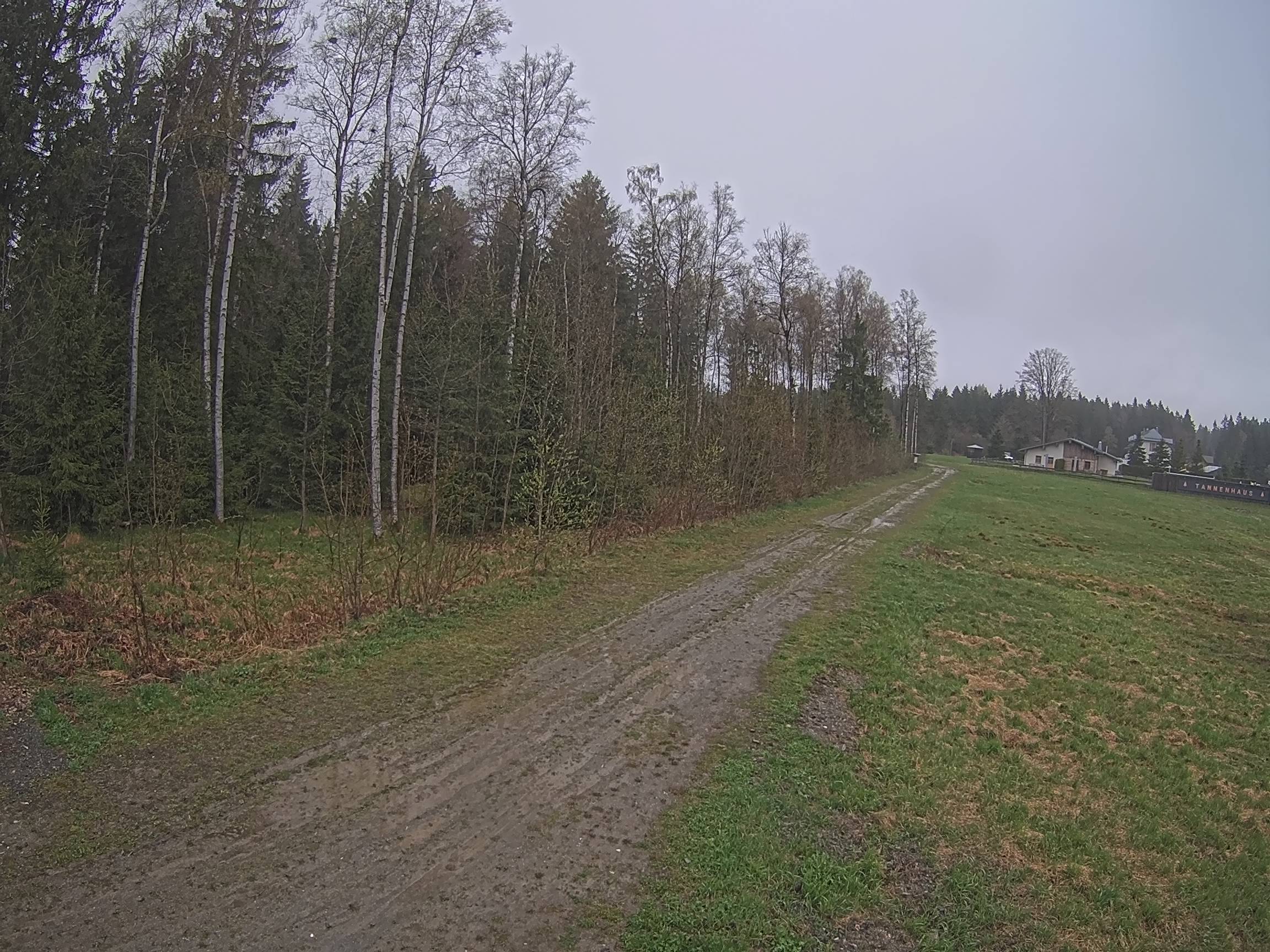 Webcam Schöneck Bogen