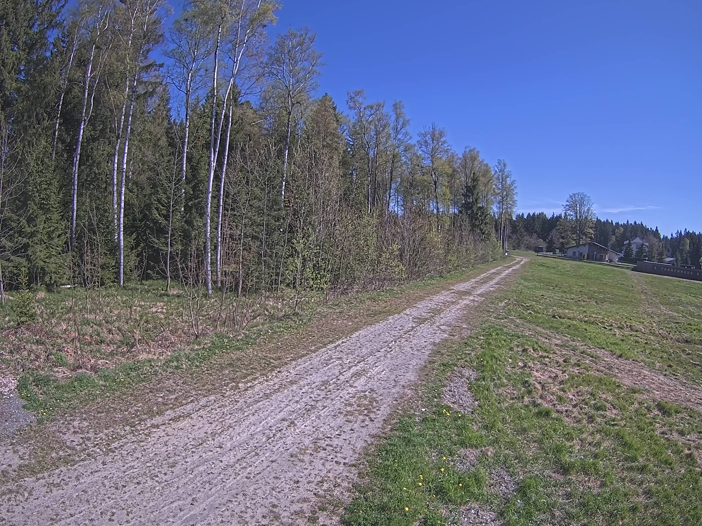 Webcam Schöneck Bogen