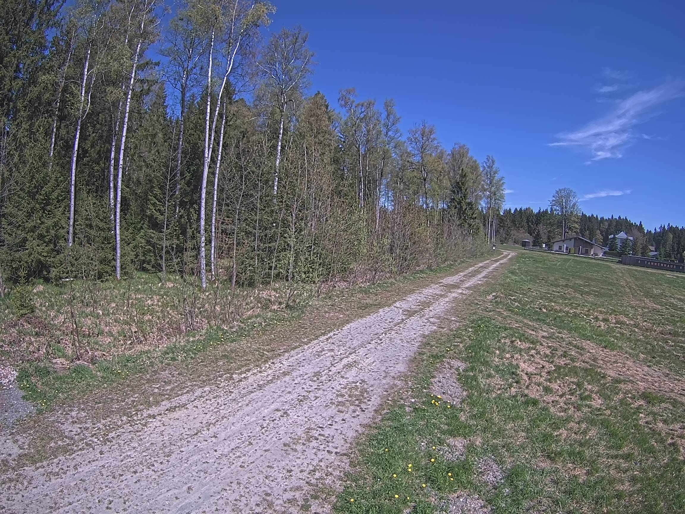 Webcam Schöneck Bogen