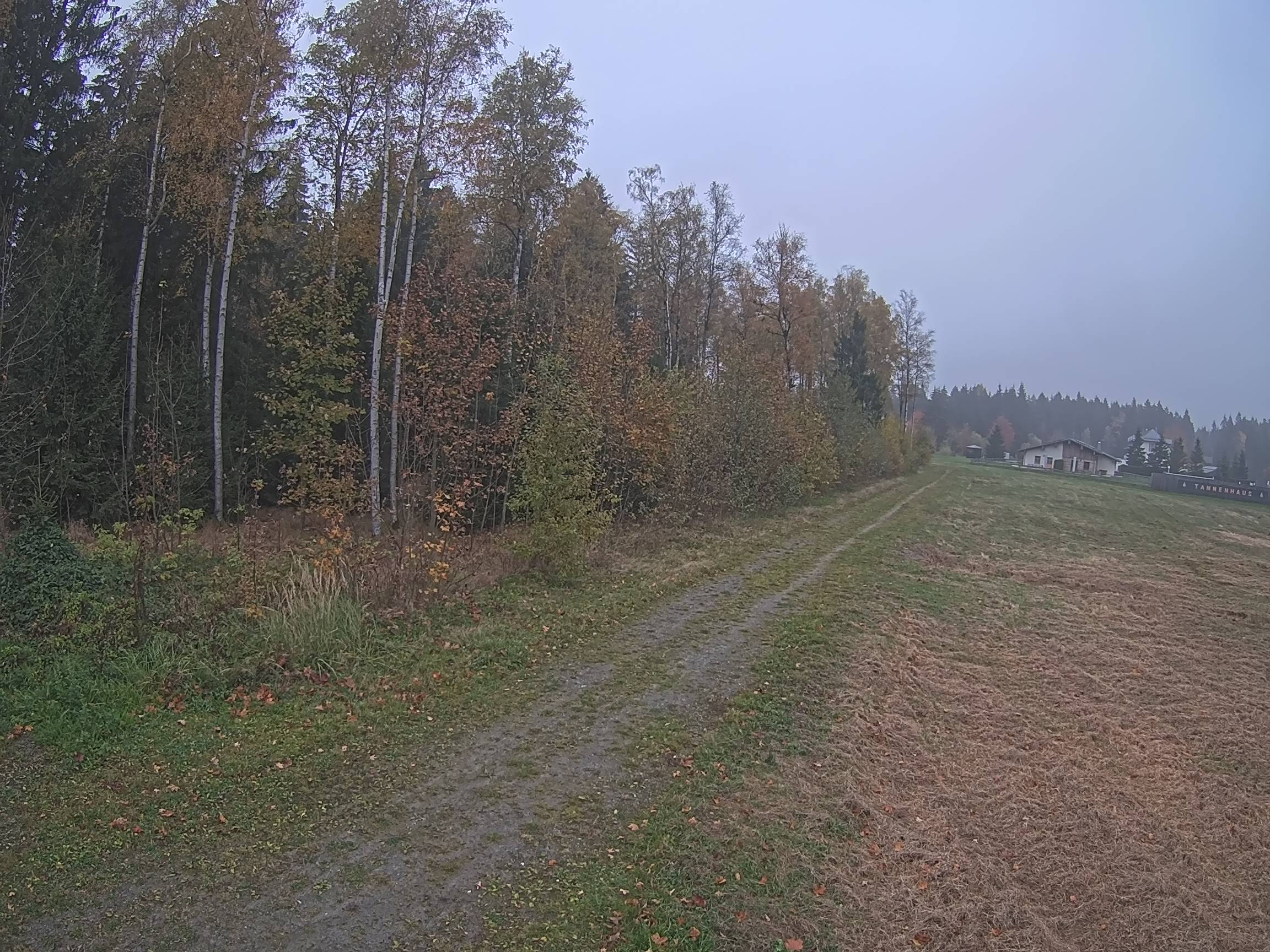 Webcam Schöneck Bogen