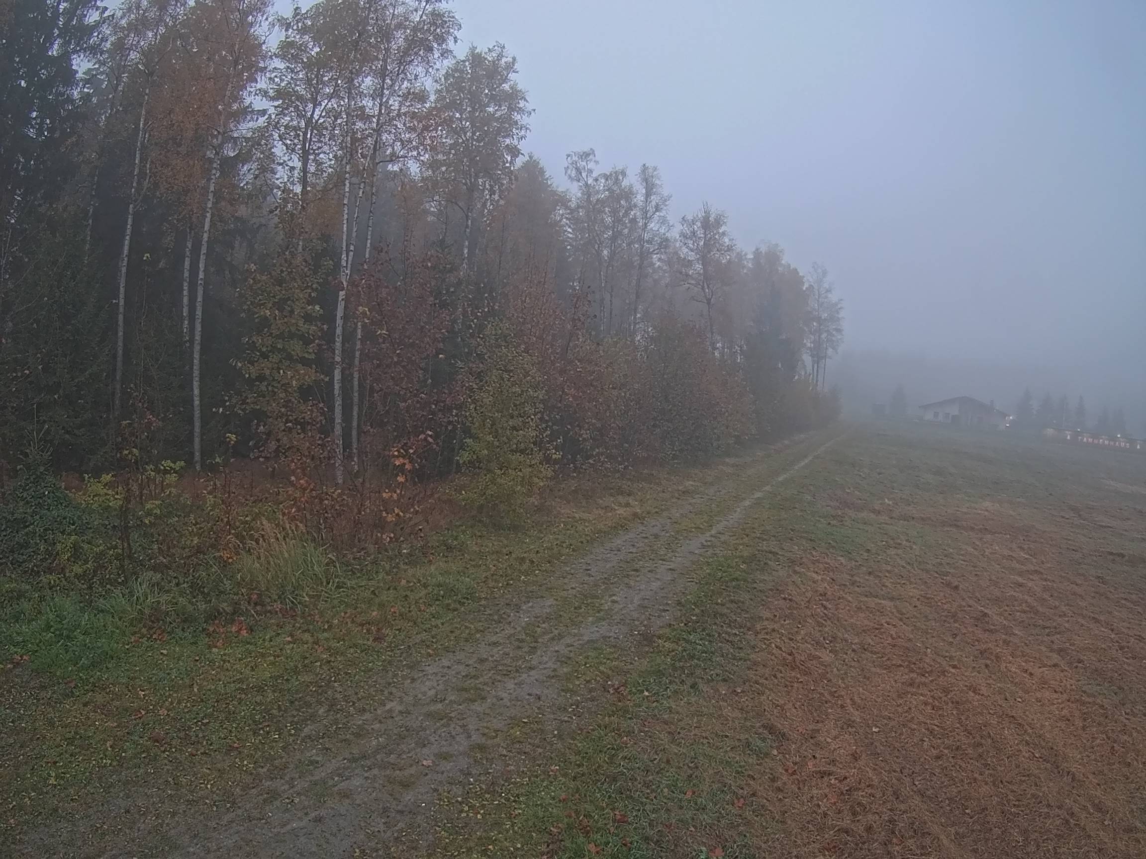 Webcam Schöneck Bogen