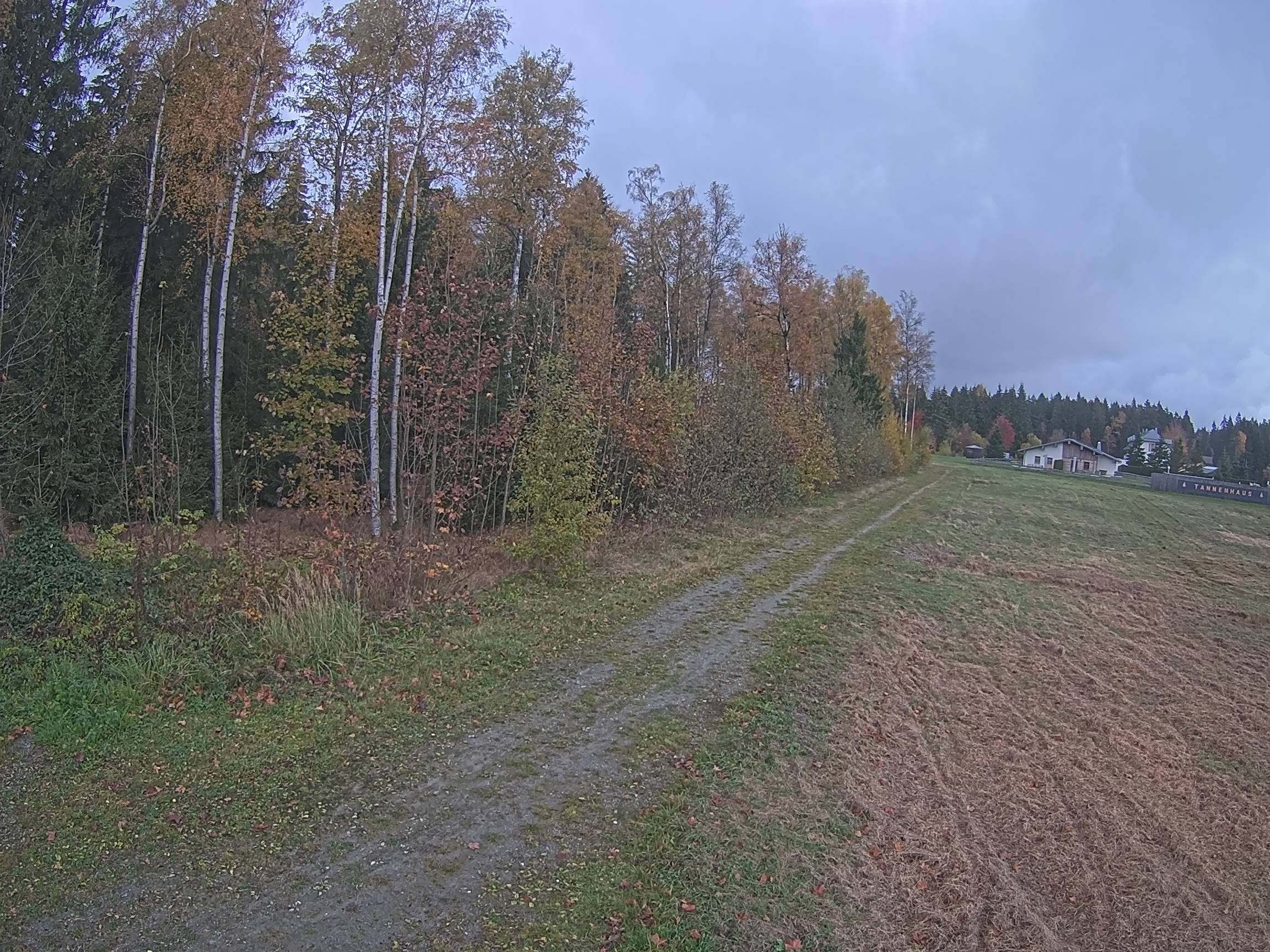 Webcam Schöneck Bogen