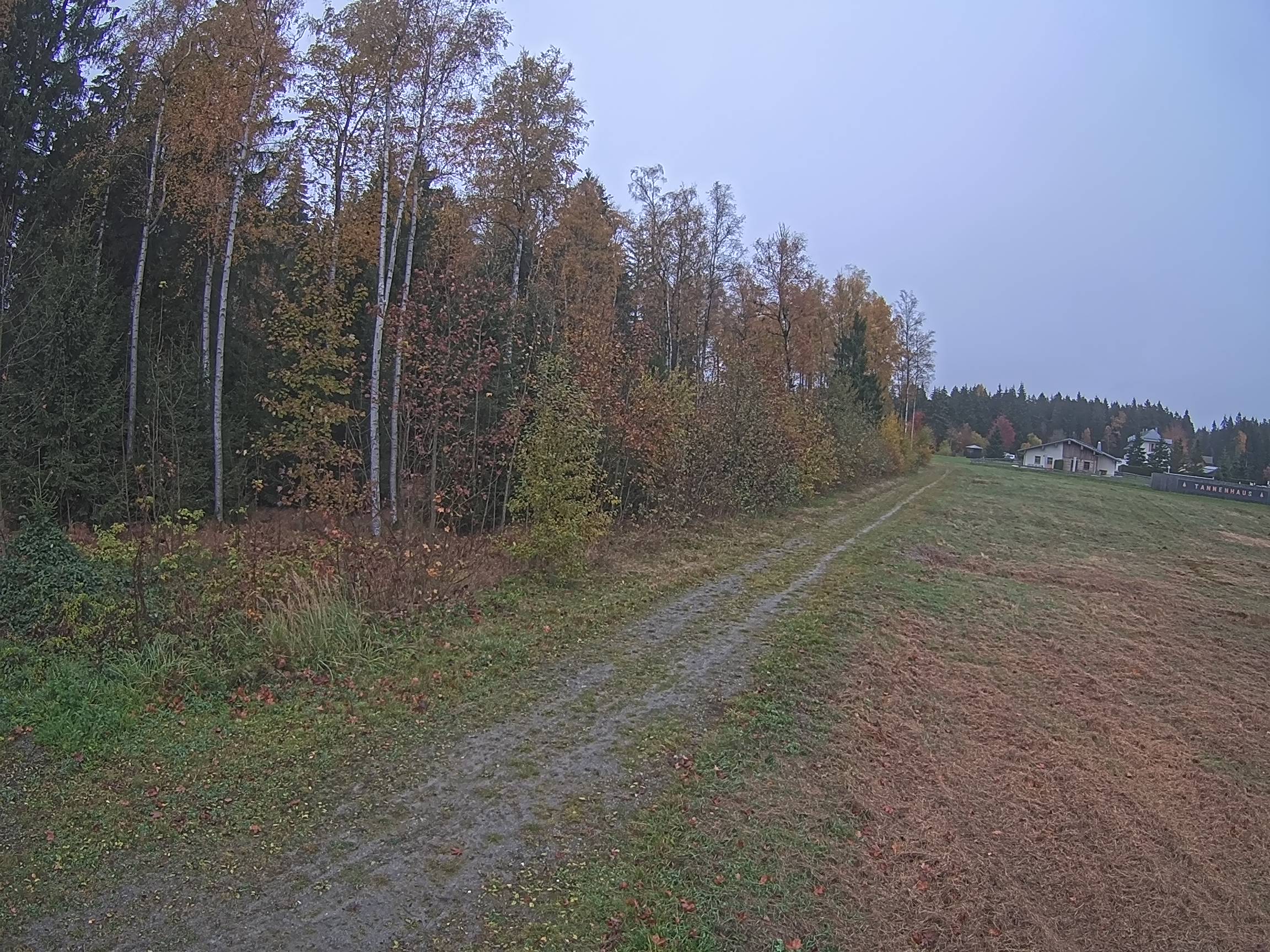 Webcam Schöneck Bogen